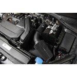 1.5 TSI EVO Εισαγωγή / VW / Audi / Seat / Skoda / Cupra - Εισαγωγή Forge Motorsport