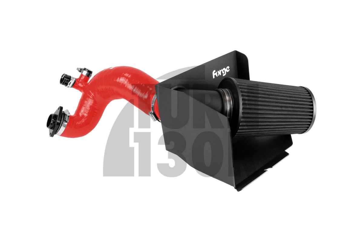 1.5 TSI EVO Εισαγωγή / VW / Audi / Seat / Skoda / Cupra - Εισαγωγή Forge Motorsport