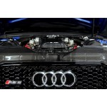Eventuri Carbon Fiber Slam Panel Cover για Audi RS4 B8 Eventuri Carbon Fiber Slam Panel Cover για Audi RS4 B8
