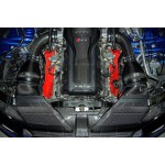 Eventuri Carbon Fiber Slam Panel Cover για Audi RS4 B8 Eventuri Carbon Fiber Slam Panel Cover για Audi RS4 B8