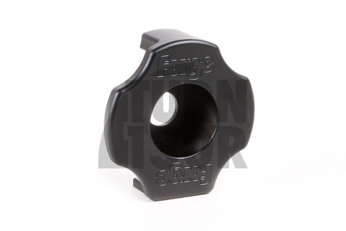 Audi RS3 8V / TT 8S MK3 Forge dogbone bush insert