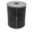 Ramair Panel Air Filter for Audi RS6 C7 and RS7 C7