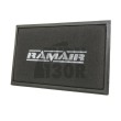 Ramair Panel Air Filter for Audi TTS/TTRS MK2 8J, RS3 8P