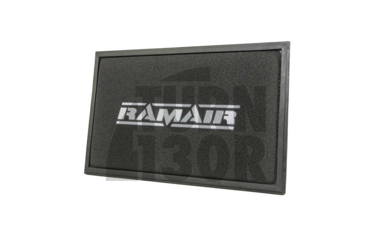 Ramair Panel Air Filter for Audi TTS/TTRS MK2 8J, RS3 8P