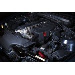 Σύστημα εισαγωγής από ανθρακονήματα Eventuri για BMW M3 E46 Σύστημα εισαγωγής από ανθρακονήματα Eventuri για BMW M3 E46