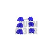 Blue R36 Coil Pack Covers for Golf 4 R32, Golf 5 R32, A3 8P, TT 8J 3.2 FSI