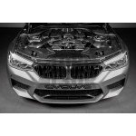 Σωλήνες εισόδου άνθρακα Eventuri για BMW M5 F90 / M8 F9x Σωλήνες εισόδου άνθρακα Eventuri για BMW M5 F90 / M8 F9x