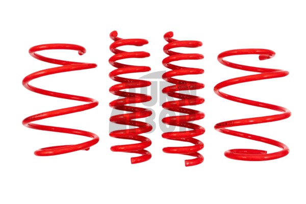 V-maxx Lowering Springs Suzuki Swift Sport ZC33S -30mm