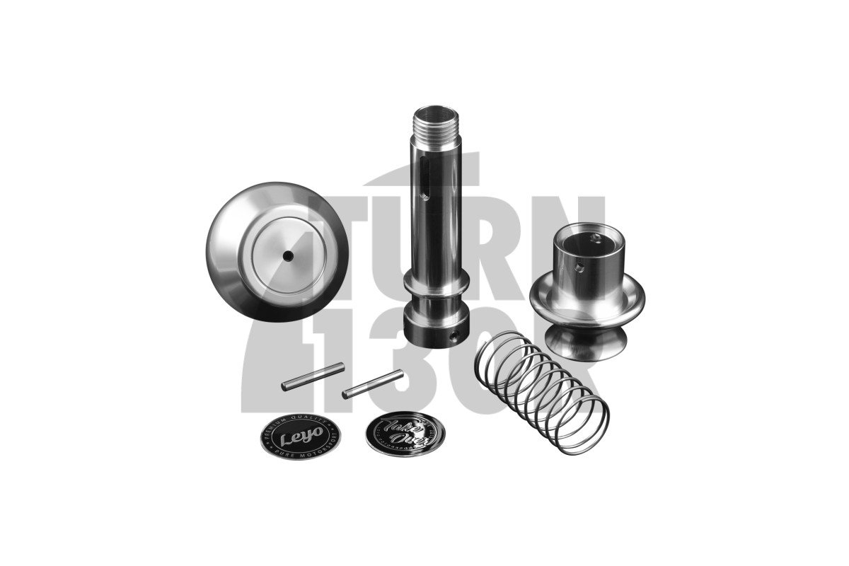 Leyo Billet DSG Shift Knob Leyo Billet DSG Shift Knob