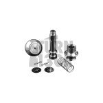 Leyo Billet DSG Shift Knob Leyo Billet DSG Shift Knob