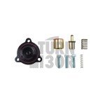 GFB Diverter Valve for Mustang 2.3T EcoBoost GFB Diverter Valve for Mustang 2.3T EcoBoost