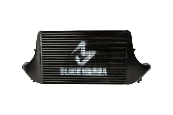 Black Mamba Ford Fiesta ST Mk8 Intercooler